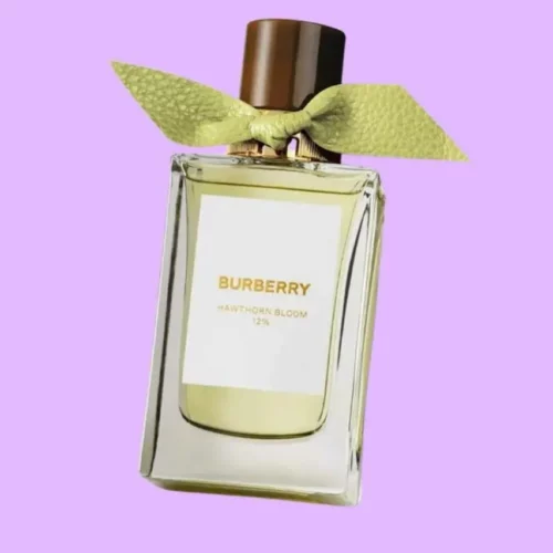10 Best Burberry Perfumes of All Time