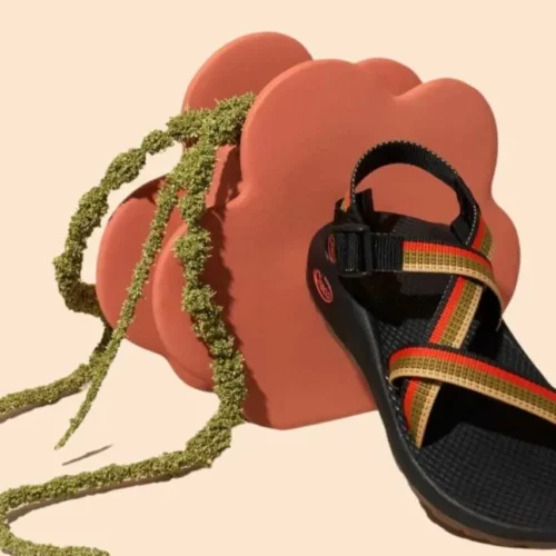 Chaco VS Teva: Which Sandals are Superior? 